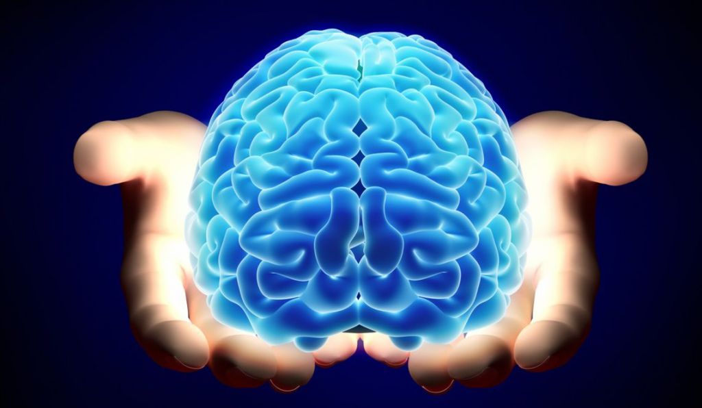 Exploring the Frontiers of Medicine: The Future of Brain Transplantation